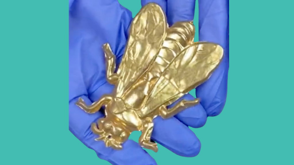 Thumbnail of gilt bee for Archives Centre 50 stories series