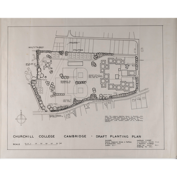 Sheila Haywood's draft planting plan for Churchill College, 1958