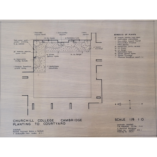 Sheila Haywood's proposed planting plan for courtyards at Churchill College