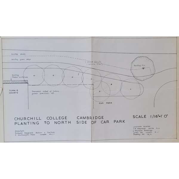 Sheila Haywood's proposed plans for planting near the car park at Churchill College.