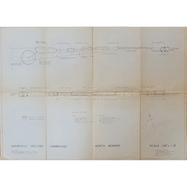 Sheila Haywood's plan for planting the border along Churchill Road