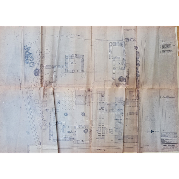 A planting proposal by Sheppard Robson and Partners, 1968