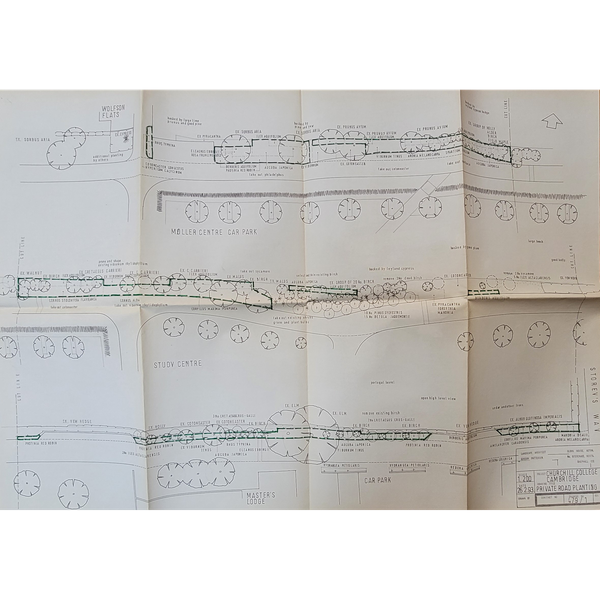 Gordon Patterson planting plans for Churchill Road