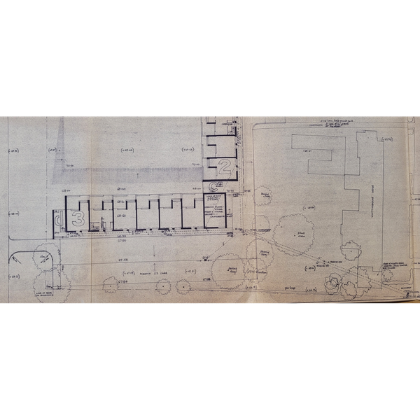 David Roberts' plan for planting around the Wolfson Flats