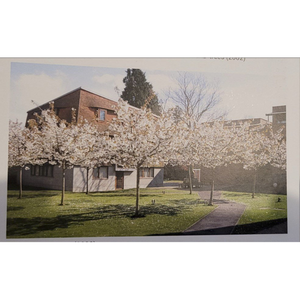 An architects proposal for landscaping around the 'Pepperpots', postgraduate accommodation at Churchill College